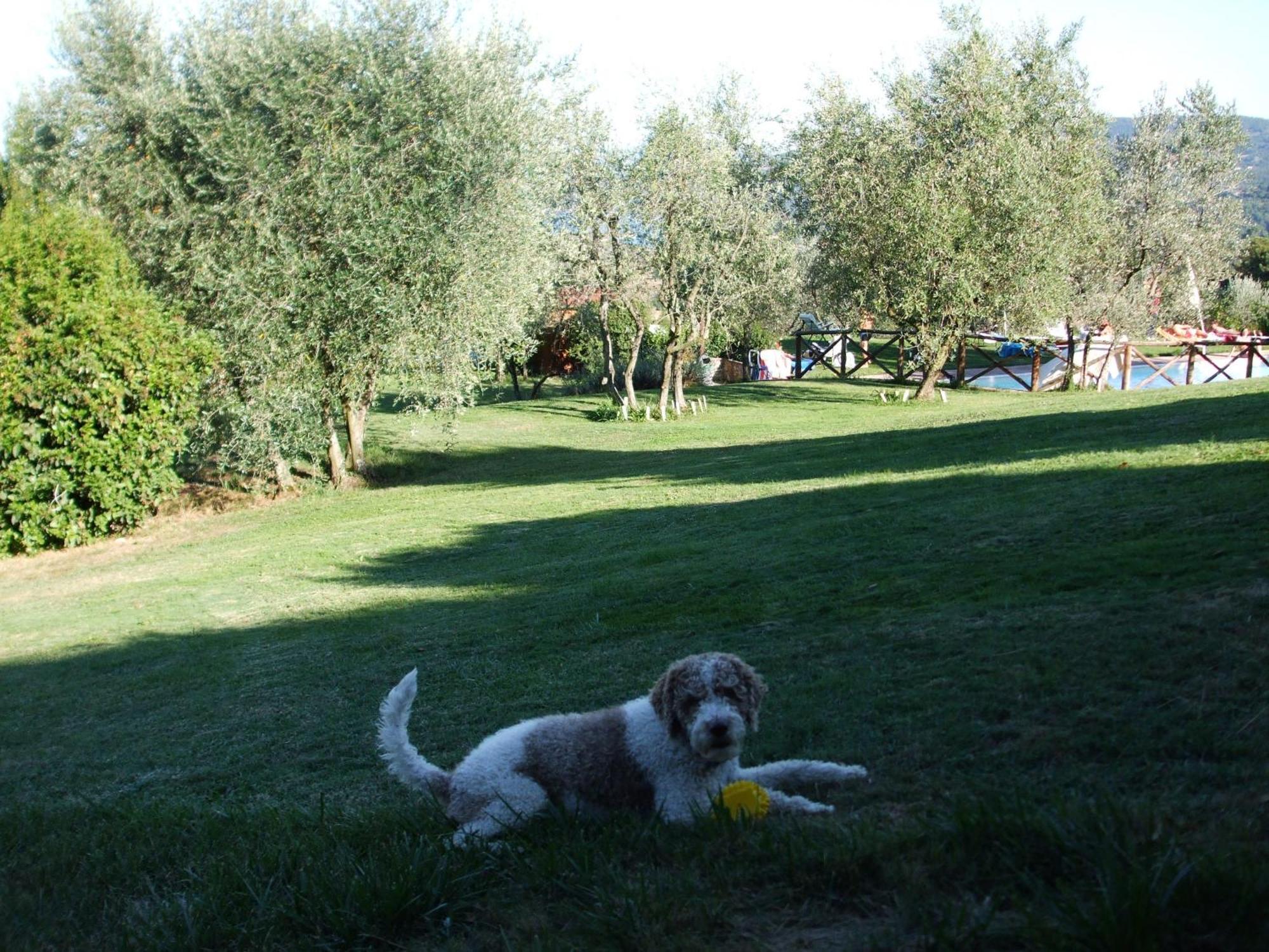 Willa Poggio Agli Ulivi Barberino di Mugello Zewnętrze zdjęcie